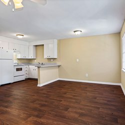 updated kitechen with vinyl flooring at Woodlawn Manor, located in Tuscaloosa, AL